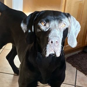 Meet your Posher, Shylah C